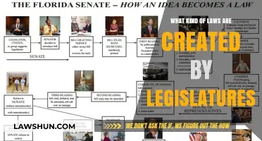 Legislatures: Creating Laws and Shaping Our Future