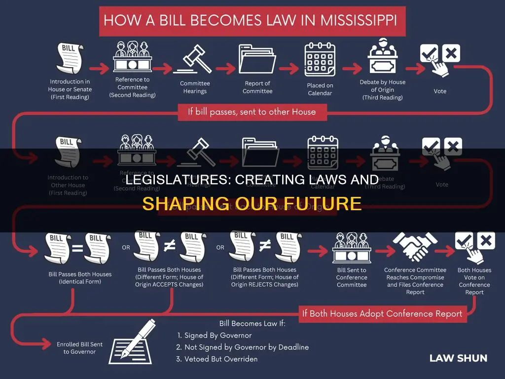 what kind of laws are created by legislatures