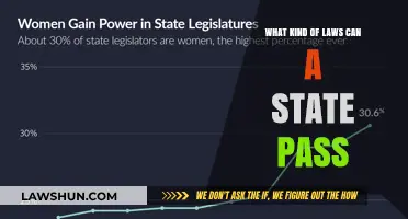 State Lawmaking: Exploring Legislative Power