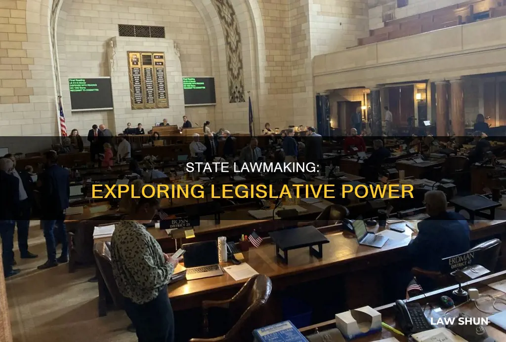 what kind of laws can a state pass
