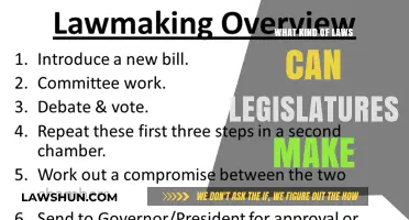 Legislatures' Lawmaking Powers: Exploring Their Reach