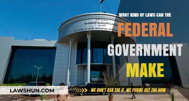 The Federal Government's Lawmaking Power
