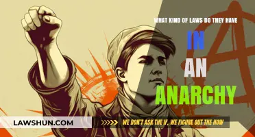 Understanding Anarchy: Legal Frameworks in a Stateless Society Explained