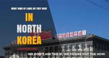 Understanding North Korea's Legal System: Laws, Restrictions, and Control