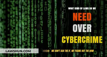 Combating Cybercrime: Crafting Effective Laws for a Digital World