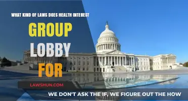 Health Interest Groups: Lobbying for Patient Rights and Public Health Laws