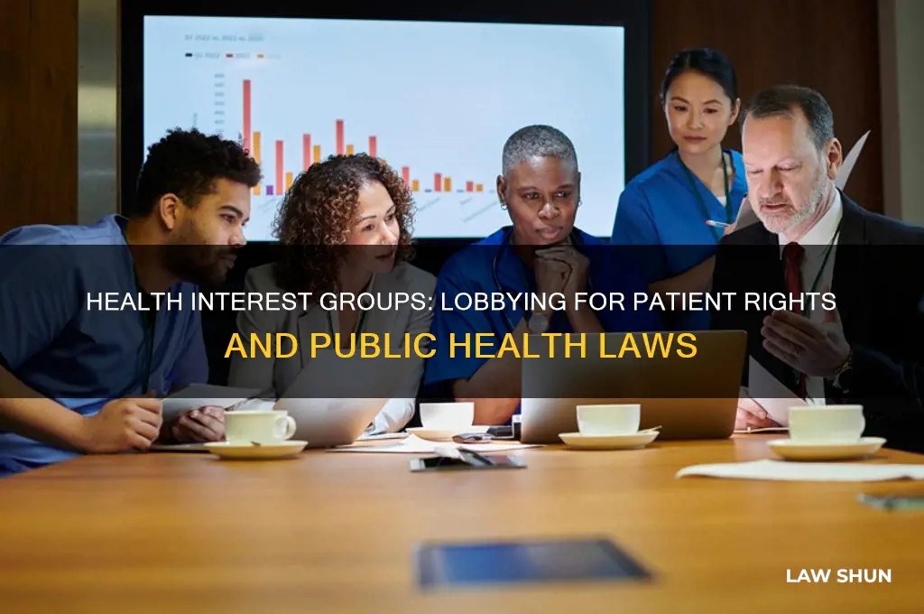 what kind of laws does health interest group lobby for