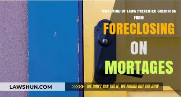 Legal Protections: How Laws Halted Mortgage Foreclosures by Creditors