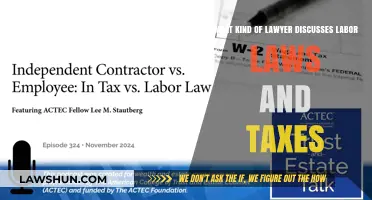 Labor Laws and Taxes: A Lawyer's Expertise