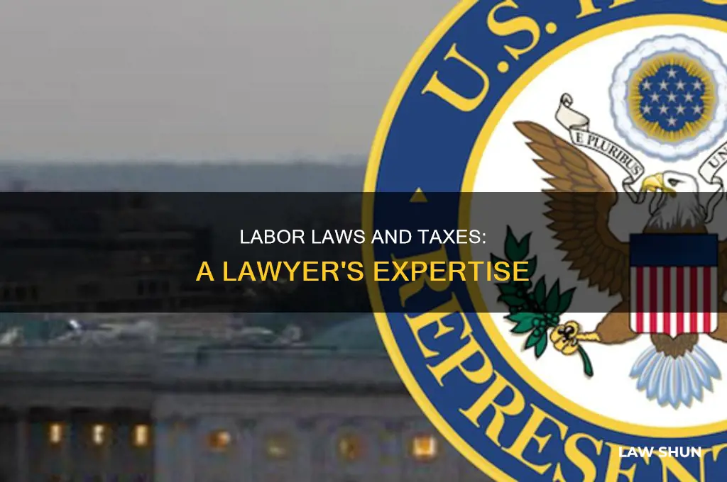 what kind of lawyer discusses labor laws and taxes