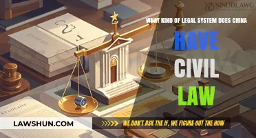 Understanding China's Civil Law System: Structure, Principles, and Impact