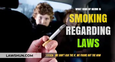Smoking Laws: Social Norms, Legal Boundaries, and Public Health Impact