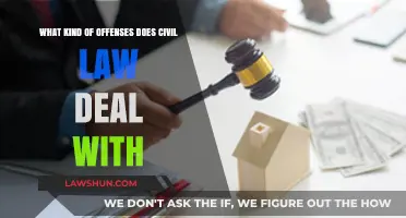 Understanding Civil Law: Offenses, Disputes, and Legal Remedies Explained