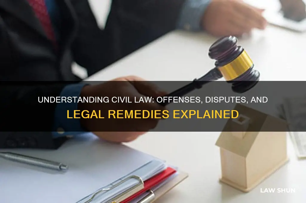 what kind of offenses does civil law deal with