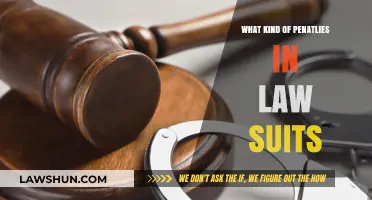 Understanding Legal Penalties: Types and Consequences in Lawsuits
