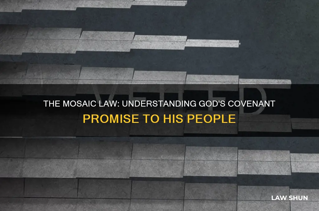 what kind of promise of god was the mosaic law