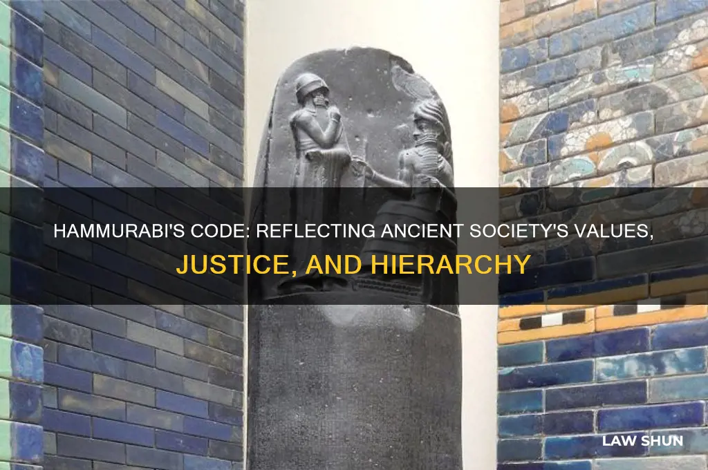 what kind of society is revealed by hammurabi