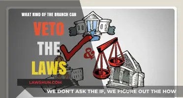 Which Branch Can Veto: The Ultimate Guide