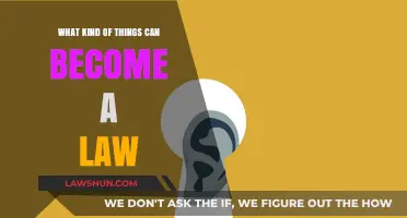 How to Turn Ideas into Laws