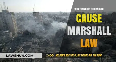 Martial Law: Understanding the Precursors and Causes