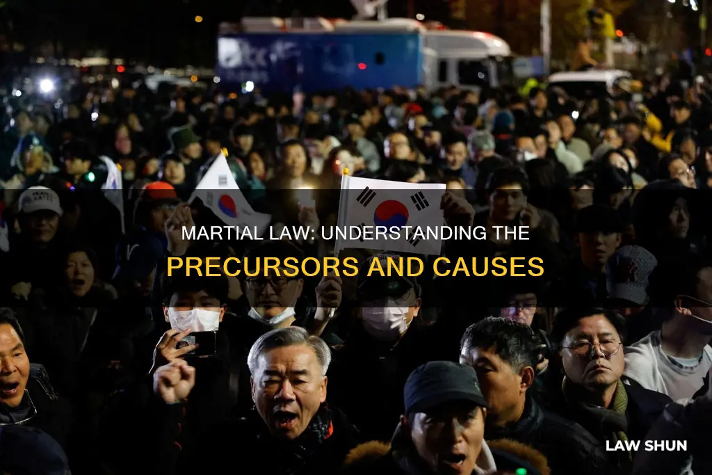 what kind of things can cause marshall law