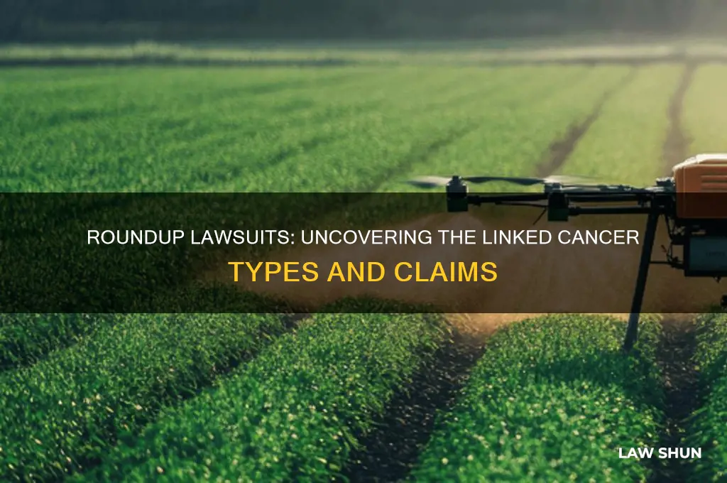 what kinds of cancer in the round up law suit