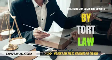 Tort Law: What Cases Are Covered?