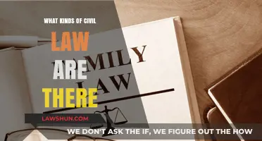 Exploring Civil Law: Types, Categories, and Key Areas Explained