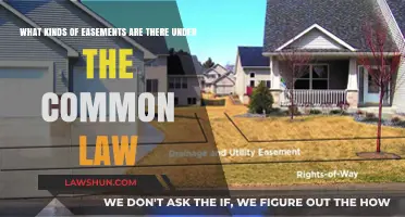 Common Law Easements: Understanding the Different Types