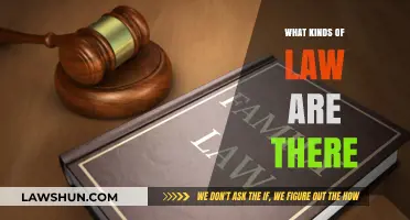 Exploring the Diverse Realms of Law: A Comprehensive Guide
