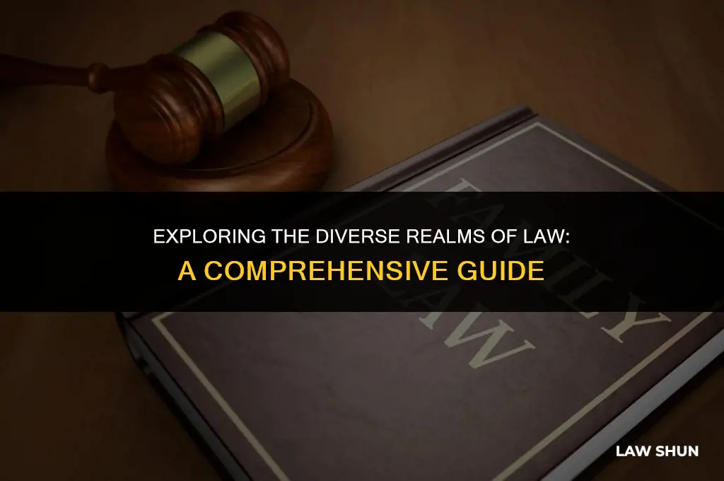 what kinds of law are there