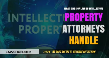 Intellectual Property Law: Key Areas Handled by IP Attorneys