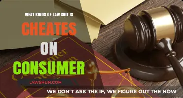 Consumer Fraud Lawsuits: Types of Legal Actions Against Cheating Businesses