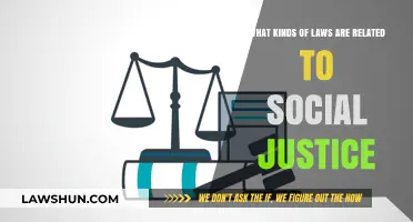 Exploring Laws That Advance Equality and Social Justice