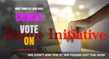 Understanding the Types of Laws Citizens Vote On in Elections