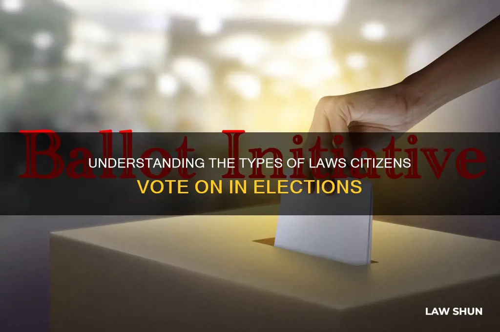 what kinds of laws does comes vote on