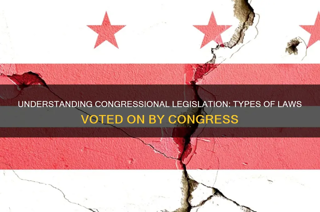 what kinds of laws does congress vote on