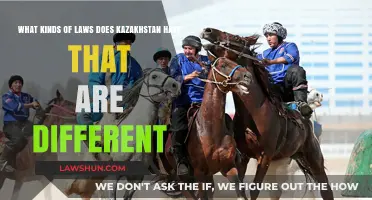 Kazakhstan's Unique Laws: A Cultural Perspective