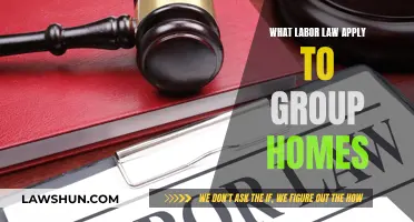 Labor Laws: Group Homes and Their Employees