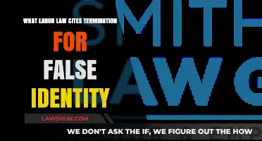 Termination for False Identity: Labor Law Citations and Consequences
