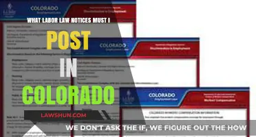 Colorado Labor Law Posting Requirements: Essential Workplace Notices for Employers