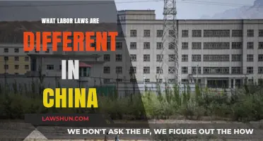 Labor Laws: China's Unique Workplace Regulations