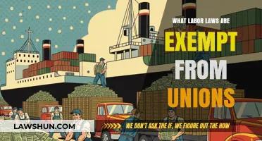 Unions and Labor Laws: Exploring Exemptions and Their Impact on Workers