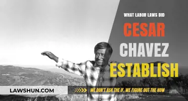Cesar Chavez's Legacy: Labor Laws Transforming Farmworkers' Rights