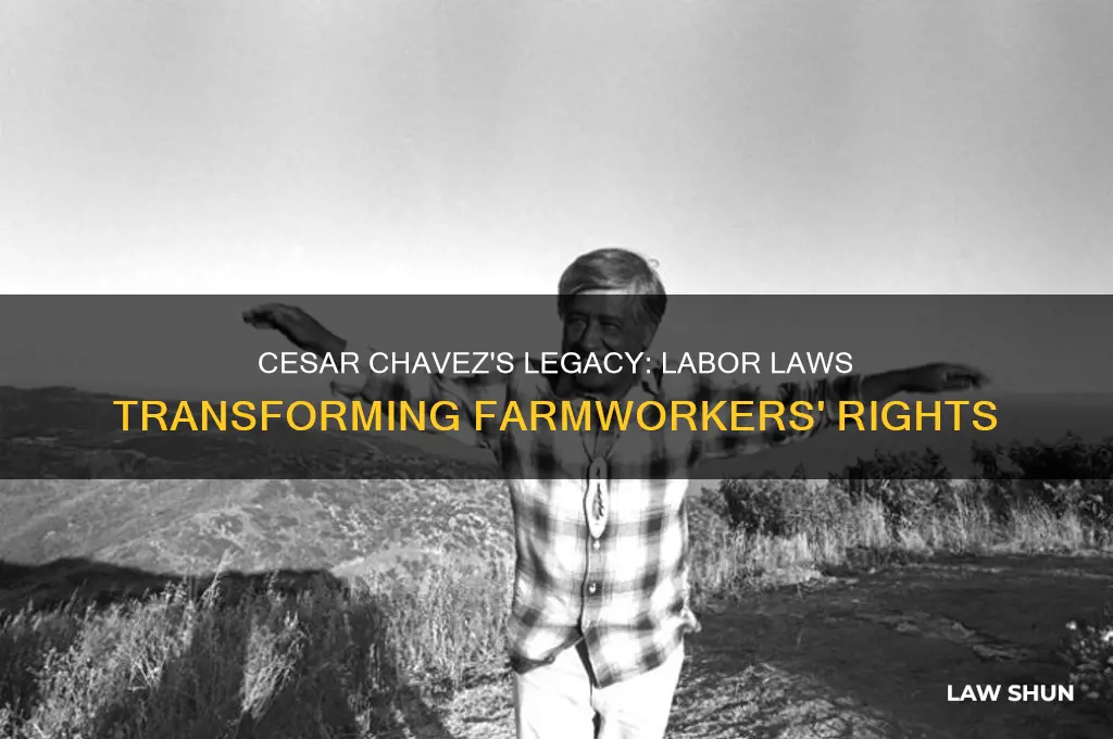 what labor laws did cesar chavez establish
