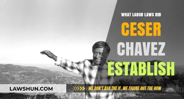 Cesar Chavez's Legacy: Labor Laws Transforming Farmworkers' Rights
