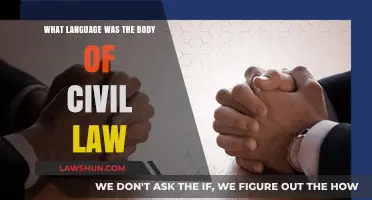 The Origins of Civil Law: Uncovering Its Ancient Language Roots