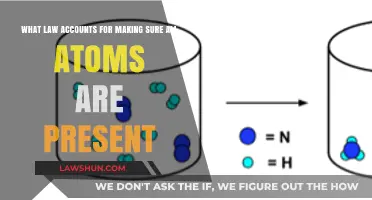 Conservation of Mass: The Law Ensuring Every Atom is Accounted For