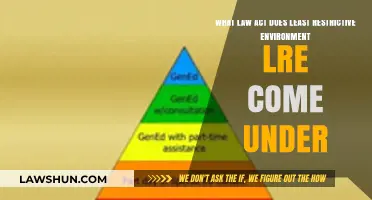 Understanding LRE: The Legal Framework Behind Least Restrictive Environment