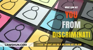 Understanding Legal Protections: Laws Shielding You from Discrimination Explained